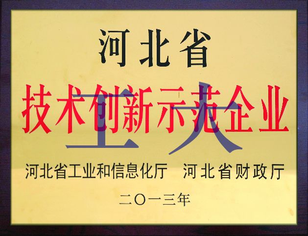 省級技術(shù)創(chuàng)新示范企業(yè)獎(jiǎng)狀